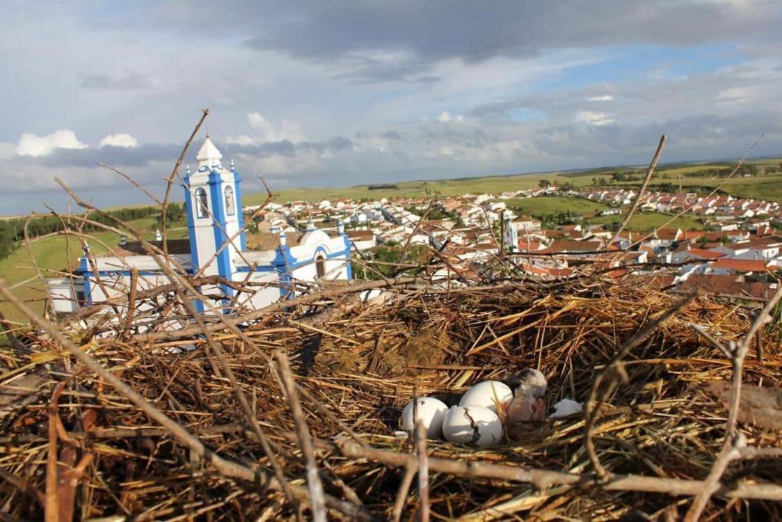 A Praia Da Messejana Exteriör bild